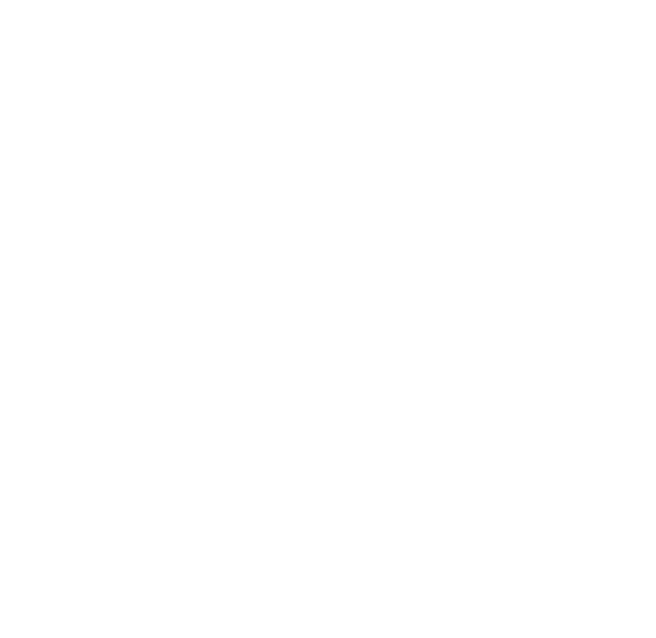 Liput kuvitus
